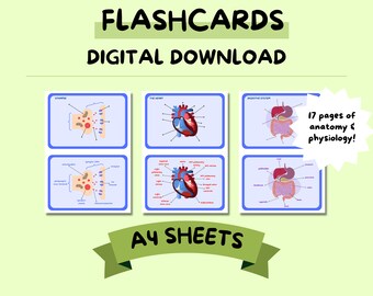 17 Diagrammi di anatomia e fisiologia · Flashcard · Livello A · Note infermieristiche