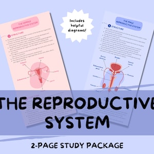 May include: Two-page study guide on the reproductive system. The guide includes diagrams of the female and male reproductive systems with labeled parts. The text includes the words "The Female Reproductive System", "The Male Reproductive System", "Structure", and "Functions".