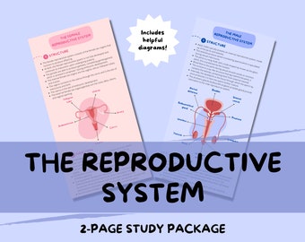 Il sistema riproduttivo: guida agli appunti di studio di biologia, medicina e fisiologia