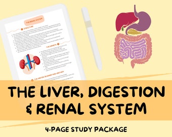 Il fegato, la digestione e il sistema renale - Guida agli appunti di studio sulla biologia di livello A