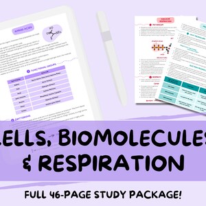 Może przedstawiać: Fioletowo-biały przewodnik do nauki z tekstem "CELLS, BIOMOLECULES & RESPIRATION FULL 46-PAGE STUDY PACKAGE!" Przewodnik zawiera informacje na temat aminokwasów, oddychania komórkowego i mikroskopii.