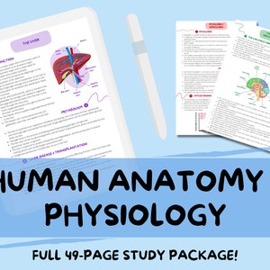 Anatomía y fisiología humana - *¡49 PÁGINAS!* Paquete de notas de estudio para Medicina · Enfermería · Biomédica · A-Level