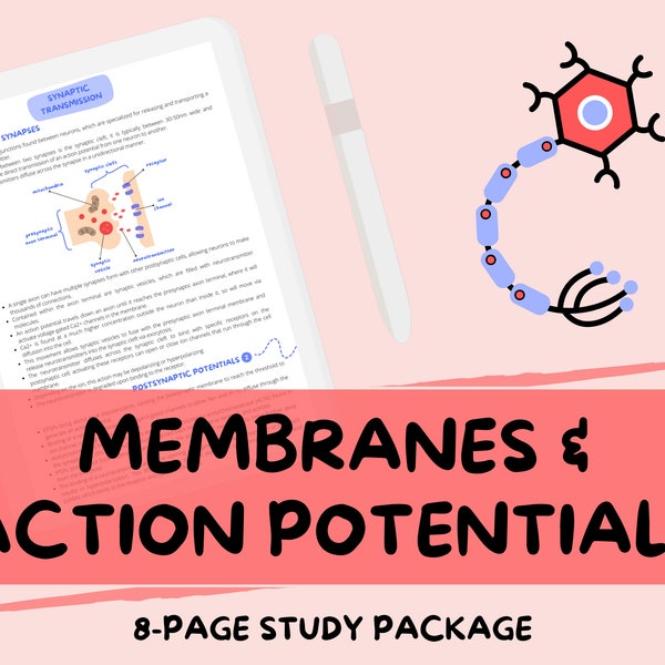 Membranes et potentiels d'action - Guide des notes d'étude de biologie de niveau A