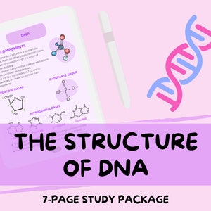 May include: A pink and purple illustration of the structure of DNA. The illustration includes a double helix, a pentose sugar, a phosphate group, and nitrogenous bases. The text "THE STRUCTURE OF DNA" is written in black letters on a pink and purple banner. The text "7-PAGE STUDY PACKAGE" is written in black letters on a pink and purple banner.