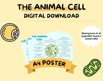 The Animal Cell and Organelles A4 Poster - A-Level Biology Study Notes Poster