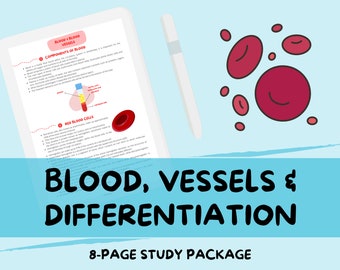 Sangue, vasi e differenziazione - Guida agli appunti di studio sulla biologia di livello A