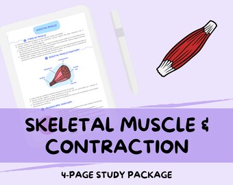 Muscolo scheletrico e contrazione muscolare - Guida agli appunti di studio di biologia di livello A