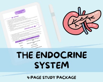 Il sistema endocrino: guida agli appunti di studio sulla biologia di livello A
