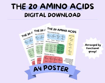 Amino Acids A4 Poster - Biology Study Poster
