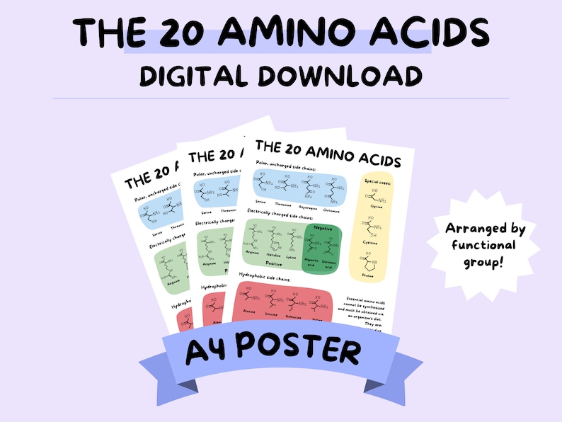 Amino Acids A4 Poster Biology Study Poster Etsy