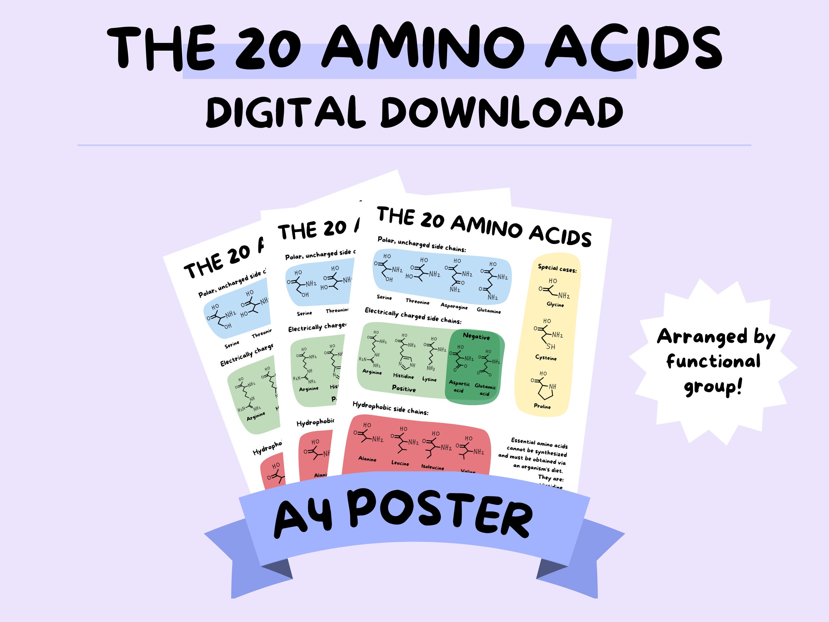 Amino Acids A4 Poster Biology Study Poster Etsy
