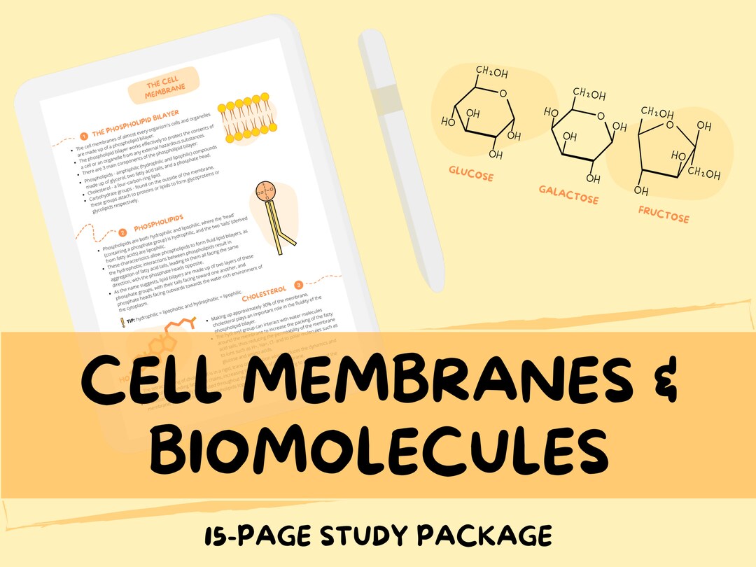 Cell Membrane and Biomolecules Biology Study Guide Etsy