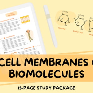 Membrana celular y biomoléculas: guía de estudio de biología