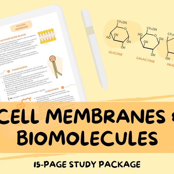 Membrane cellulaire et biomolécules - Guide d'étude en biologie