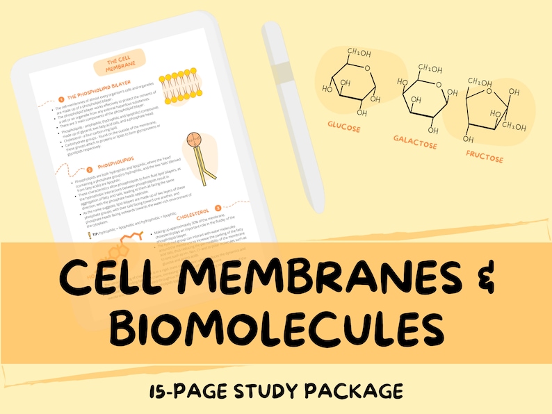 Cell Membrane and Biomolecules Biology Study Guide Etsy