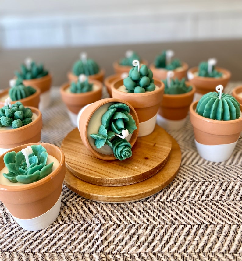 Sukkulenten und Kaktus Kerzen in bemalten Terrakotta Töpfen, Sukkulenten Geschenk, Hochzeitsgeschenke, Pflanzenliebhaber, Mini Kerze Bild 4