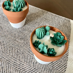 Succulent Hand Painted Terracotta Pot Candle - Plant Lover - Eco Friendly Candle - Candle Gift - Home Decor - Handmade soy wax candle