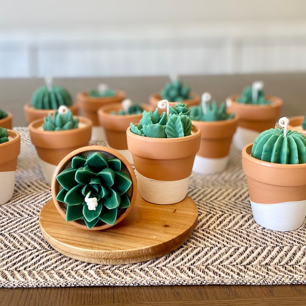 Bougies succulentes et cactus dans des pots en terre cuite peints, cadeau de succulentes, cadeaux de mariage, amoureux des plantes, mini bougie