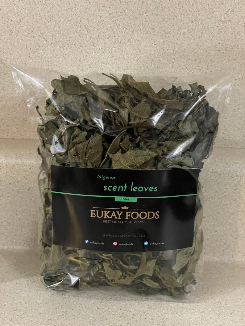 Dried Scent Leaf 1 5oz Etsy Dried Scent Leaf 1 5oz Etsy