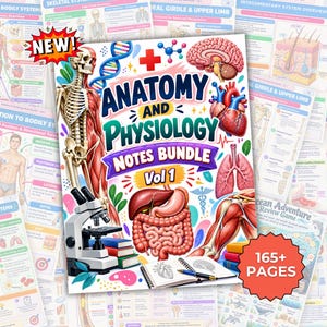May include: Anatomy and Physiology Notes Bundle Vol 1 educational document featuring a human skeleton, brain, heart, lungs, and digestive organs. The cover includes a microscope, stacked books, and a notebook with a pen, plus a 165+ pages badge.