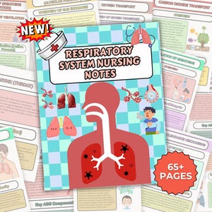 May include: A collection of nursing notes on the respiratory system. The cover features a diagram of the respiratory system, a nurse's hat, and the text "Respiratory System Nursing Notes." The image includes the text "65+ Pages" and other medical diagrams.