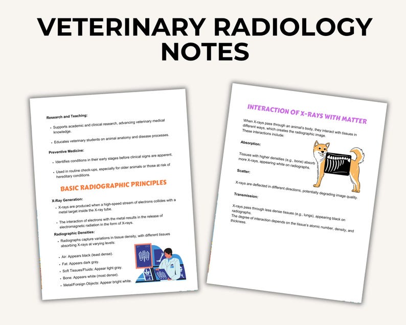 Veterinary Radiology Notes: Vet Student X-ray Guide (digital Download ...