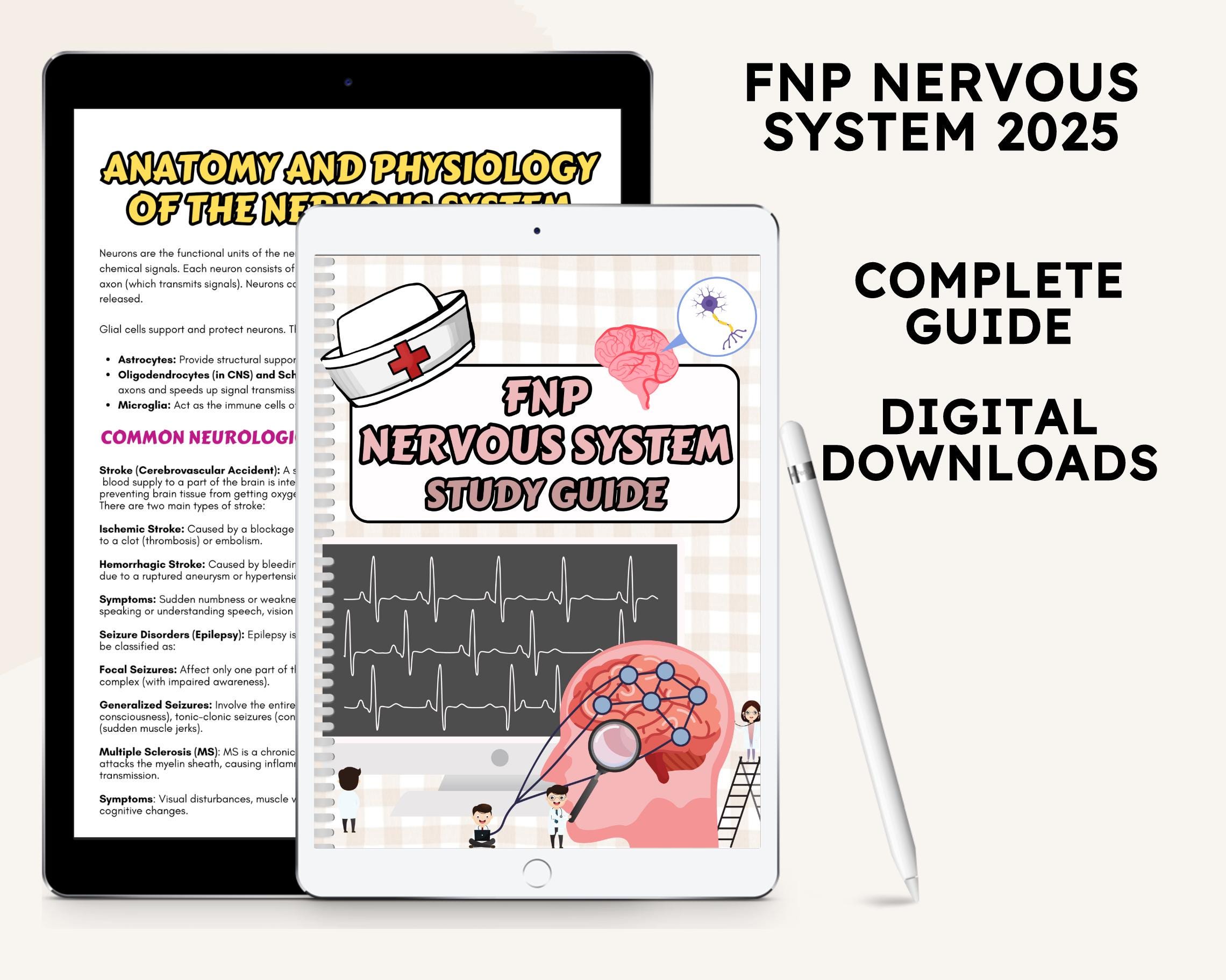 FNP Nervous System Study Guide: Nurse Practitioner Reference (PDF) - Etsy