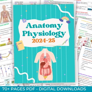 Guide d'étude de l'anatomie et de la physiologie - Notes de physiologie - Bundle de notes d'anatomie - Guide d'étude des soins infirmiers - Anatomie et physiologie - A et P - PDF