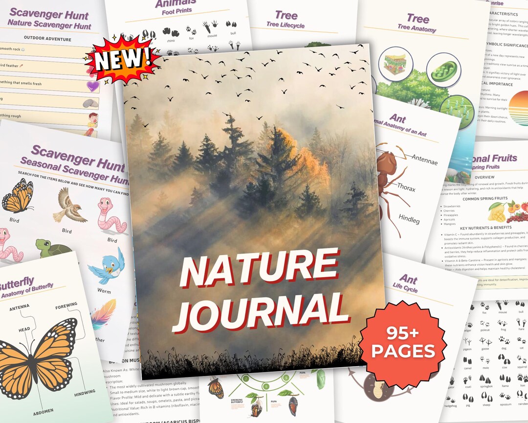 Nature Journal.pdf Nature Journal Printable | Homeschool Learning, Nature Study, Scavenger ...