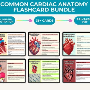 Flashcards sur l'anatomie cardiaque | Système cardiovasculaire | Anatomie du coeur | Notes d'allaitement | Notes cardiovasculaires | Cartes éclair sur les soins infirmiers 2025