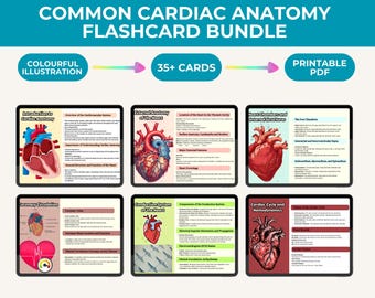 Cardiac Anatomy Flashcards: Cardiovascular System, Nursing Notes (Digital Download)