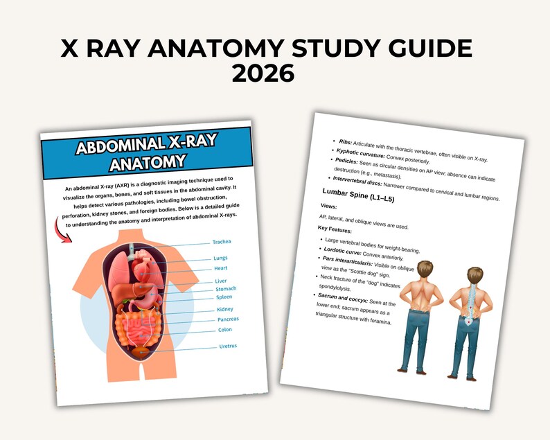 Comprehensive 2026 X-ray Anatomy Study Bundle, 10+ Topics, 60+ Pages Digital Download - Etsy