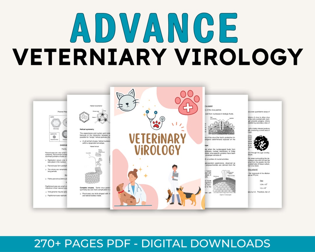 BEST SELLING 270 Pages Vet Tech Notes, Vet Med Study Guide, VTNE Prep