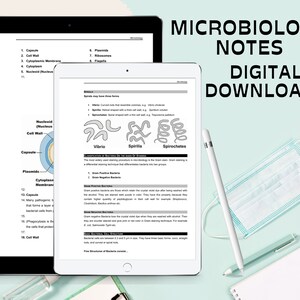 Ultimate Microbiology Notes Perfect for Medical Students to Prepare for ...
