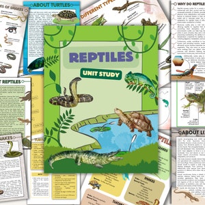 Reptiles unit study, Crocodile unit study, Turtle unit study, reptiles activities, turtle montessori puzzle, montessori 3 part cards turtle