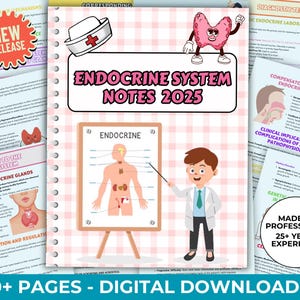 May include: A pink and white checkered notebook with the title "Endocrine System Notes 2025" and a cartoon illustration of a doctor pointing to a diagram of the endocrine system. The notebook is labeled "30+ Pages - Digital Downloads" and "Made by Professional 25+ Years Experience".