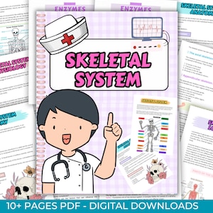 Notes sur le système squelettique : plus de 45 pages avec aide-mémoire ~ Introduction au système squelettique, anatomie du squelette, diagrammes et notes des principaux os, aide-mémoire