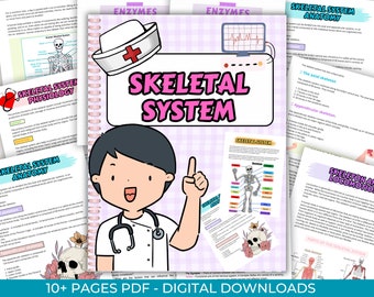 Skeletal System Notes 45+ Pages with Cheat Sheet ~ Intro to Skeletal System, Skeleton Anatomy, Major Bones Diagrams & Notes, Cheat Sheet