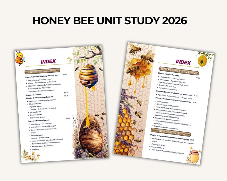 Honey Bee Unit Study, Nature Learning, Bee Life Cycle, Homeschool PDF ...