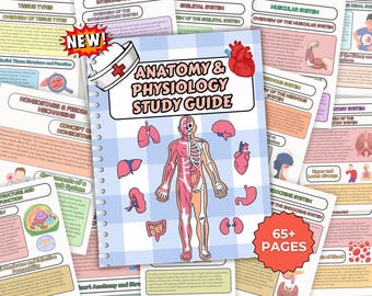 May include: A spiral-bound "Anatomy & Physiology Study Guide" with a human body illustration, surrounded by study pages. The cover features a nurse's hat and heart graphic. The guide includes "65+ PAGES" and "NEW!" text.