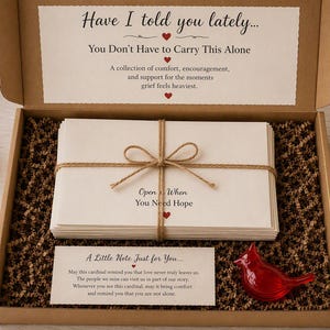 May include: A brown cardboard gift box filled with brown paper crinkle filler, containing a stack of white envelopes tied with twine labeled Open When You Need Hope, a card reading A Little Note Just for You, and a small red glass cardinal figurine.