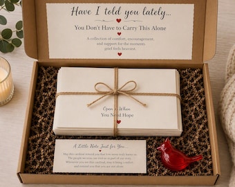 May include: A brown cardboard gift box filled with brown paper crinkle filler, containing a stack of white envelopes tied with twine labelled Open When You Need Hope, a card reading A Little Note Just for You, and a small red glass cardinal figurine.