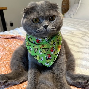 Grinch Cat Bandana, Snap Closure