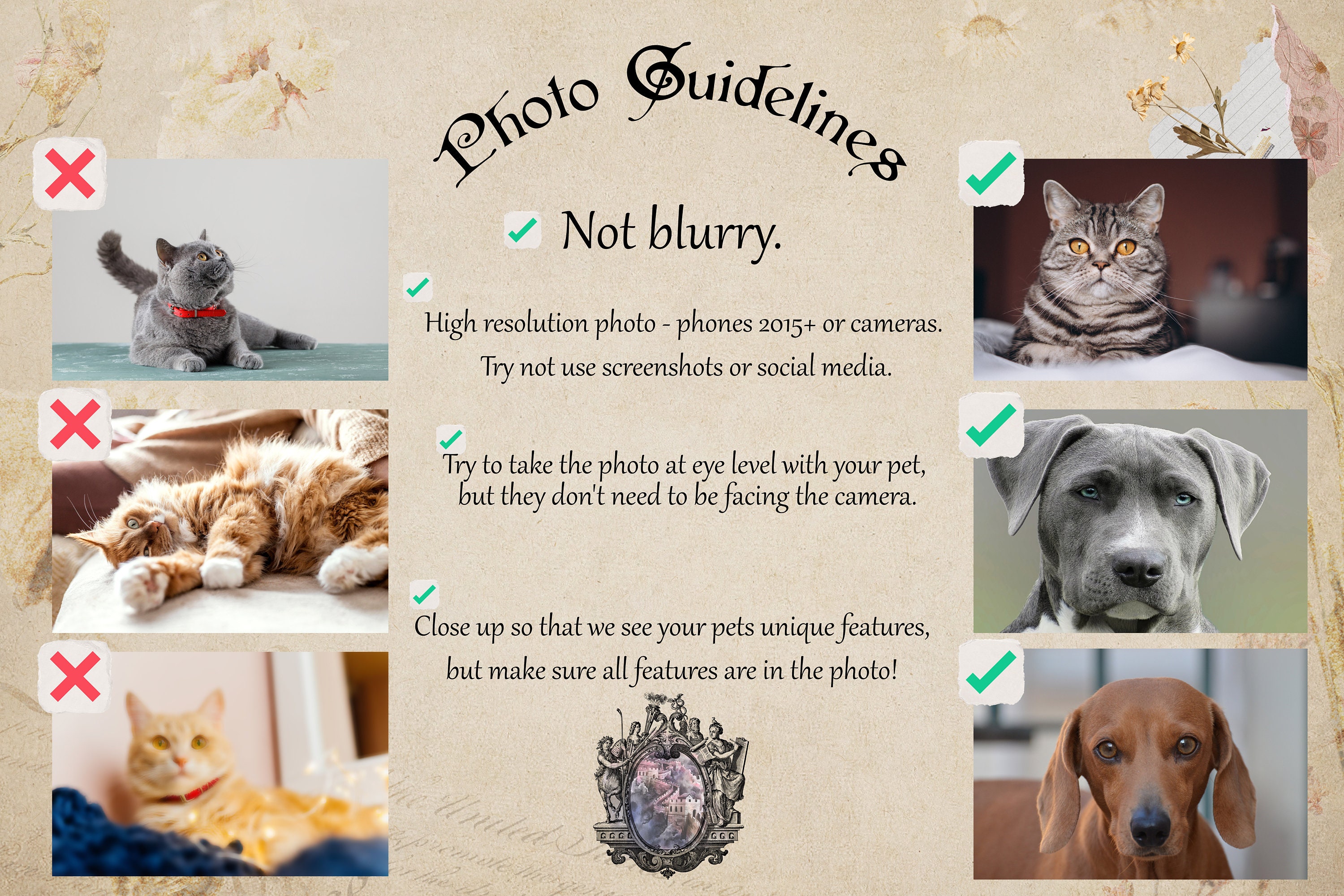 Custom Cat Pet Portrait Historical Pet Portrait Renaissance - Etsy Australia Custom Cat Pet Portrait Historical Pet Portrait Renaissance - Etsy Australia