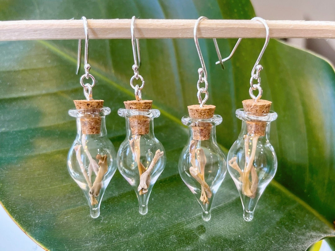 Real Bone Bottle Earrings, Halloween Jewelry, Taxidermy Etsy