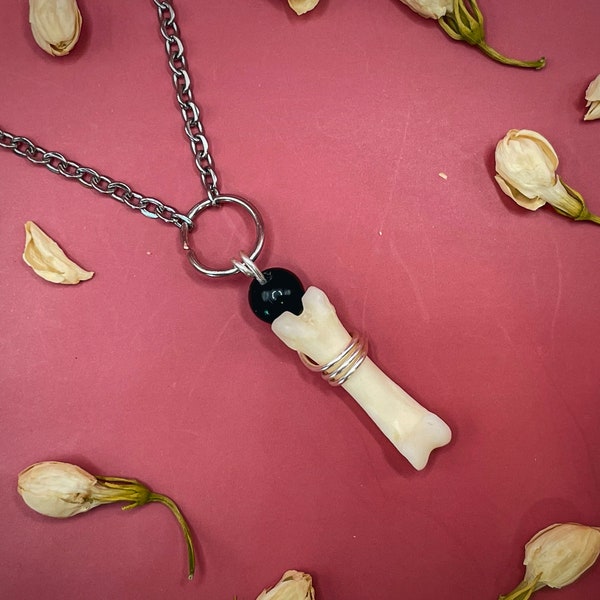 Bone Necklace Taxidermy Etsy