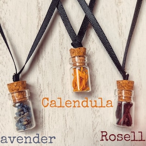 Potion bottle, Mini Dried Flower Bottle Necklace, Spell Jar, Curiosity Vial