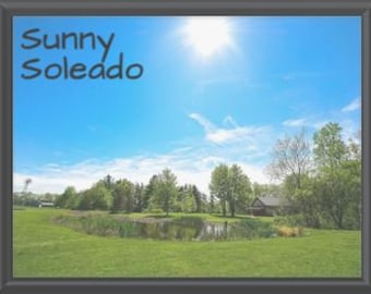 Preschool Weather and Seasons, Diverse, Real-World Photos, Meets Multiple NAEYC Criteria, Preschool Décor, English and Spanish