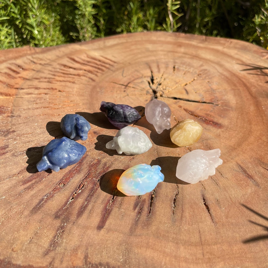 Anatomical Heart Crystals Etsy