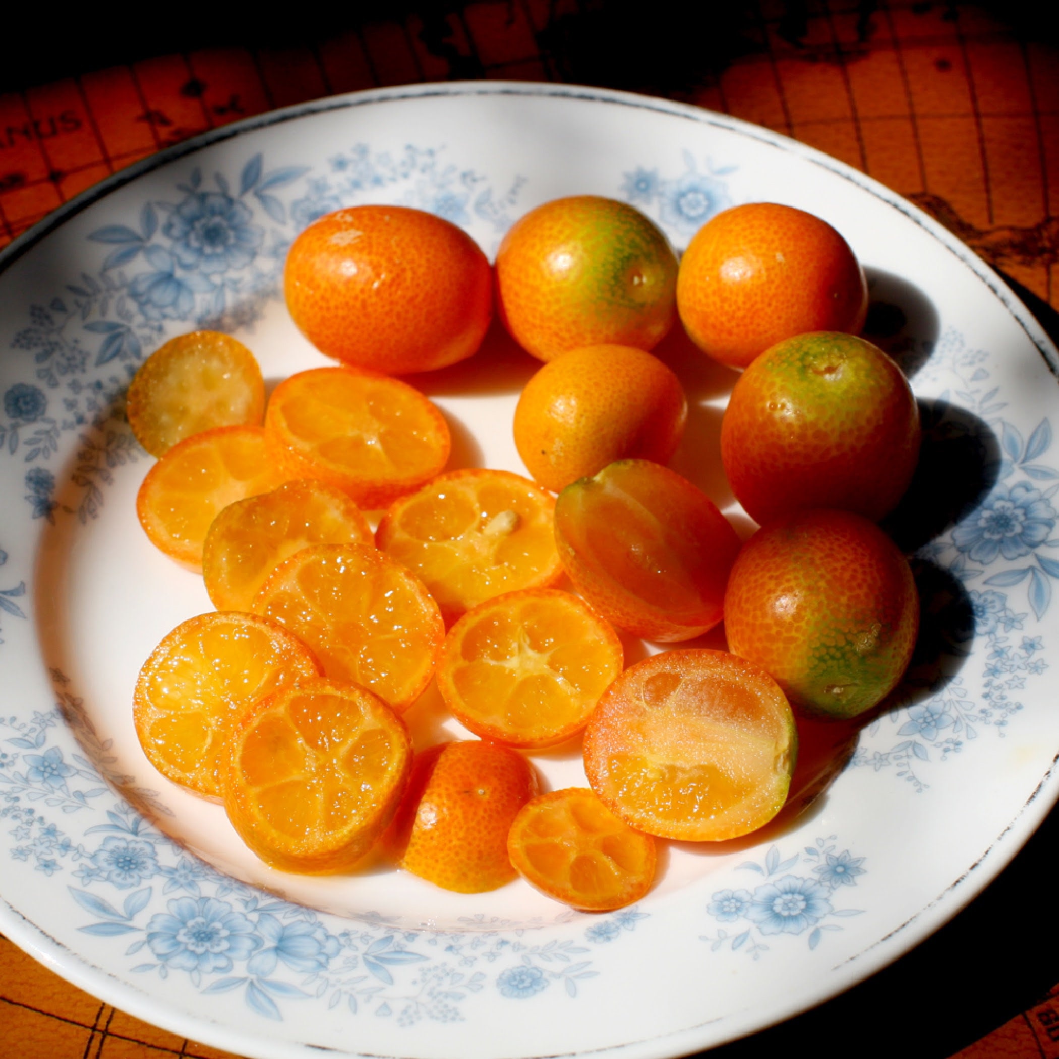 ZADEN Dwerg Kumquat Nagami Fortunella margarita Gemakkelijk te kweken